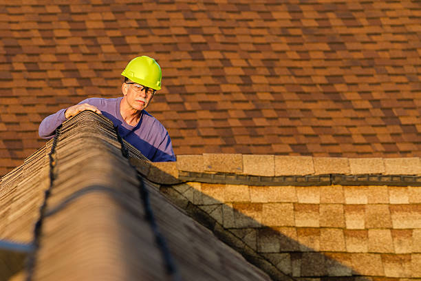 Best Roof Repair Services  in Cedar Bluff, VA