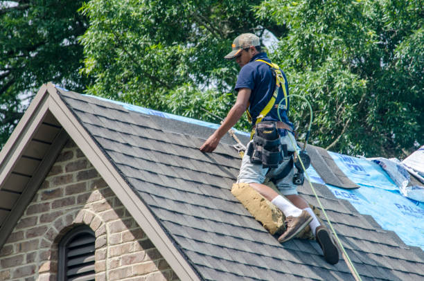 Best Roof Waterproofing Services  in Cedar Bluff, VA