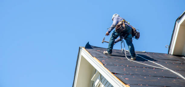Best Metal Roofing Contractor  in Cedar Bluff, VA